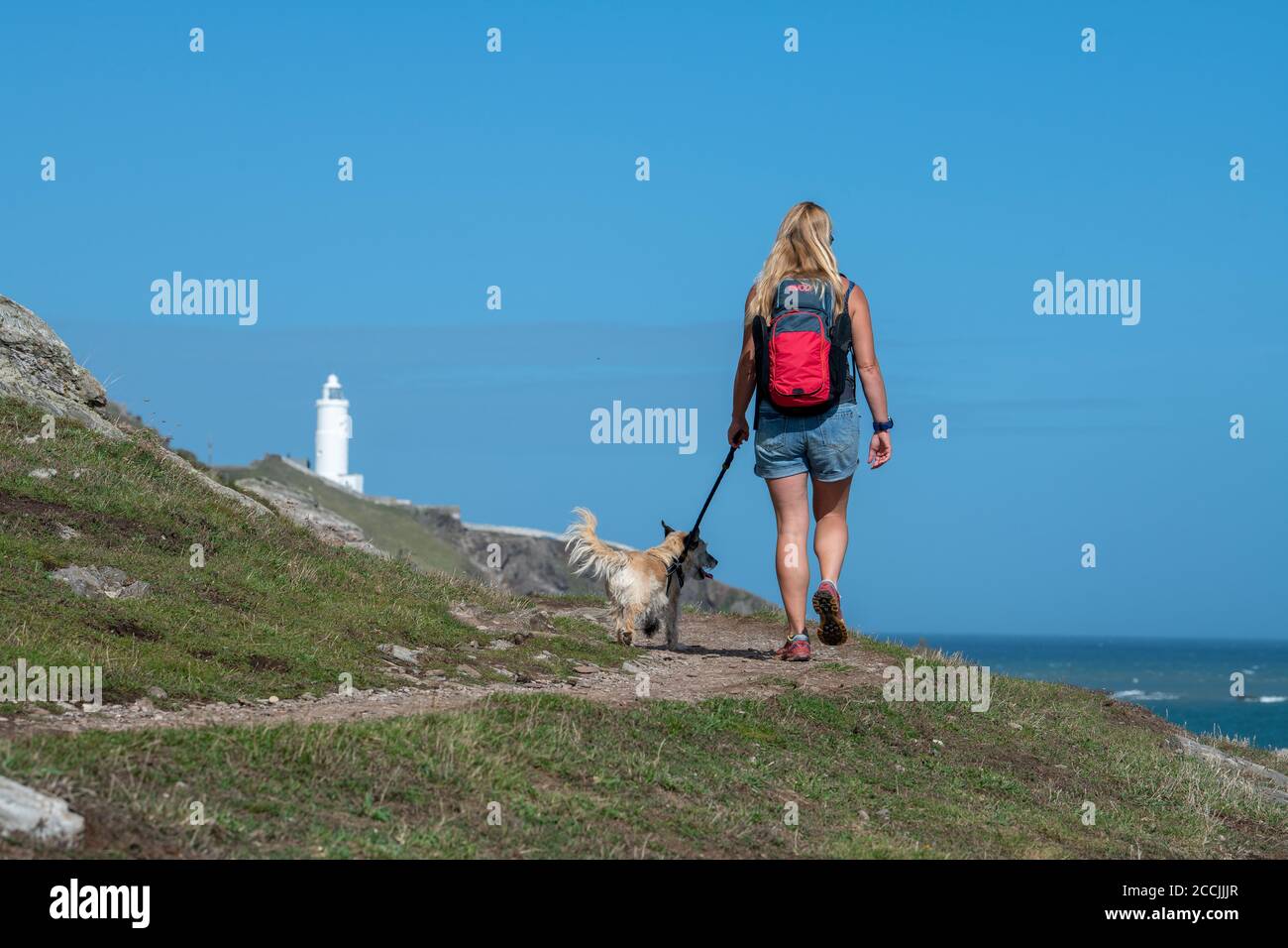 Una donna trekking con un cane lungo la costa sud-ovest percorso verso Start Point nel South Hams, Devon. Foto Stock