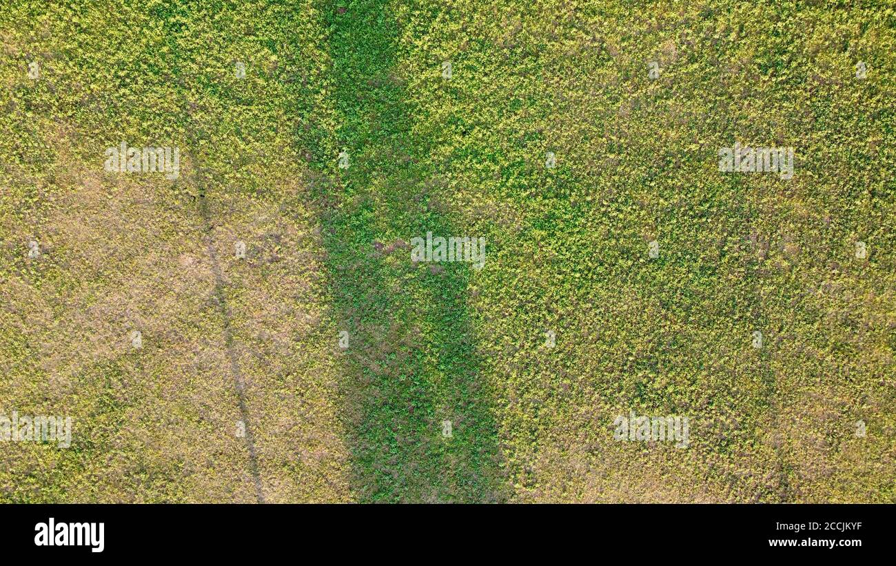 erba corta fotografata dall'alto con il drone Foto Stock
