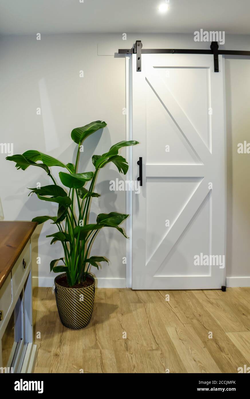Moderno soggiorno con una porta bianca scorrevole fienile e. Una bella pianta in vaso chiamata uccello del paradiso (Strelitzia reginae) Foto Stock