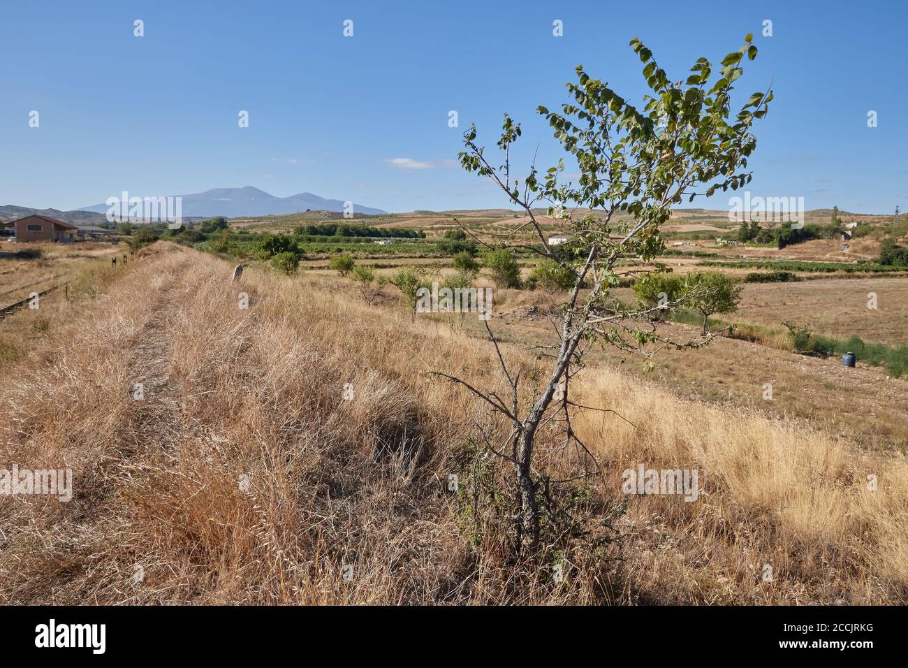 Paesaggio della Valverde del Rio Alhama e la montagna di El Moncayo sullo sfondo nella provincia di la Rioja, Spagna Foto Stock