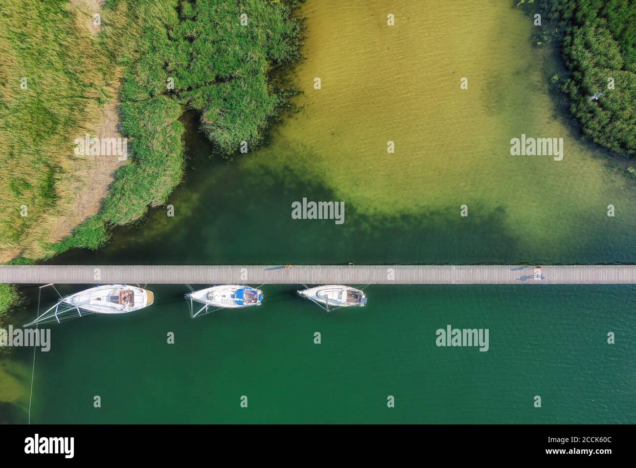 Germania, Meclemburgo-Pomerania occidentale, yacht ormeggiati lungo il molo che si estende attraverso la riva verde del Parco Nazionale della Laguna di Pomerania Occidentale Foto Stock