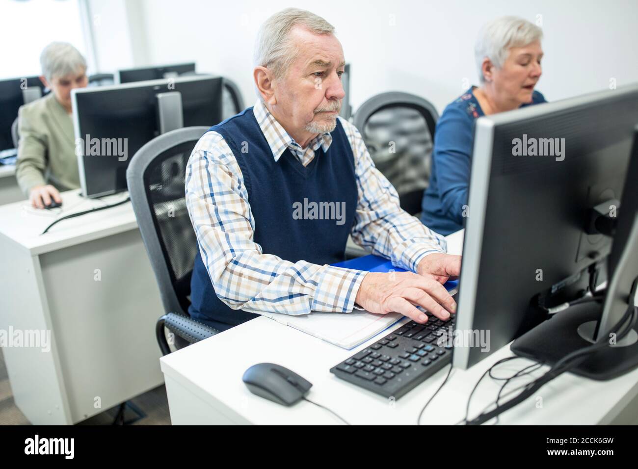 Anziani attivi che frequentano il corso sul computer, lavorando sul PC Foto Stock