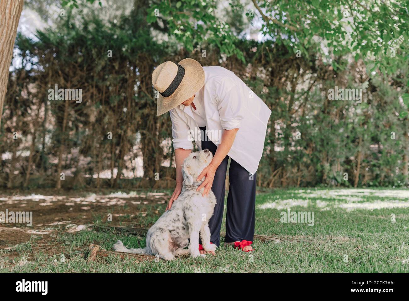 Donna anziana che indossa cappello con cane in piedi su terra erbosa in cortile Foto Stock