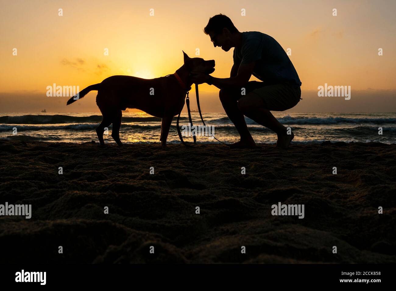 Silhouette uomo trascorrere il tempo libero con il cane in spiaggia durante dawn Foto Stock