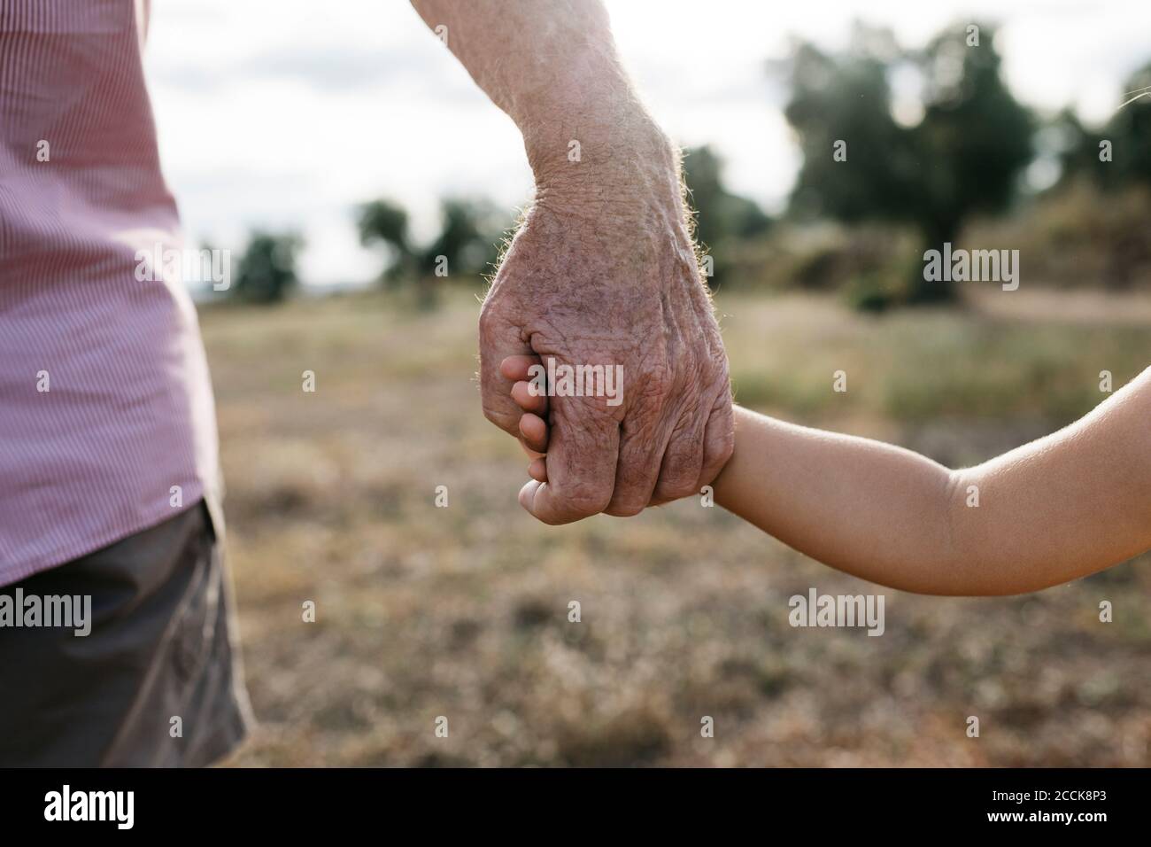 Primo piano di nonno e nipote che tengono le mani Foto Stock