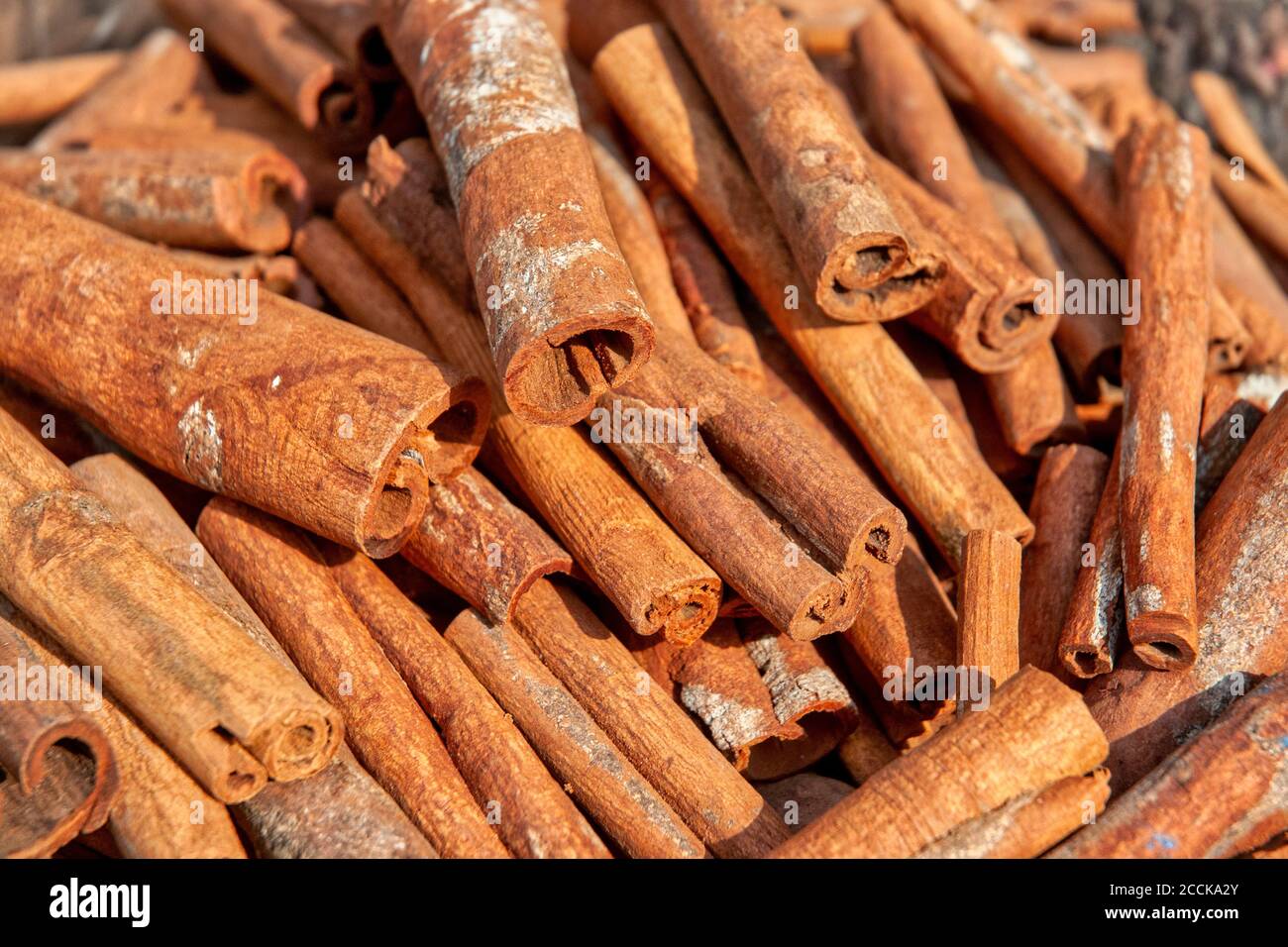 La cannella cruda (Cinnamomum cassia) si stacca in mostra Foto Stock