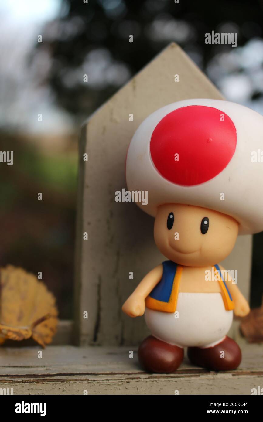 Toad di un Picket Fence 1 - Super Mario Bros Foto Stock