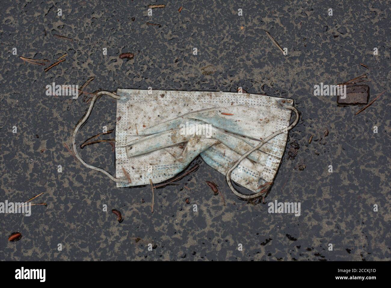 Una maschera monouso scartata su una strada piovosa. Foto Stock