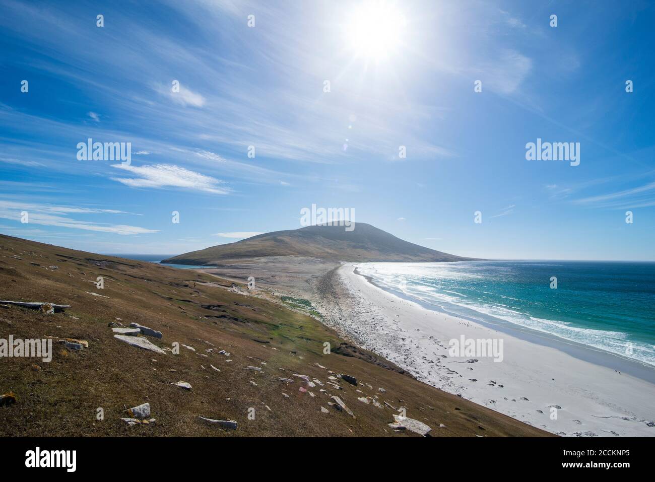 Regno Unito, Isole Falkland, Sole che splende sul collo dell'isola di Saunders Foto Stock