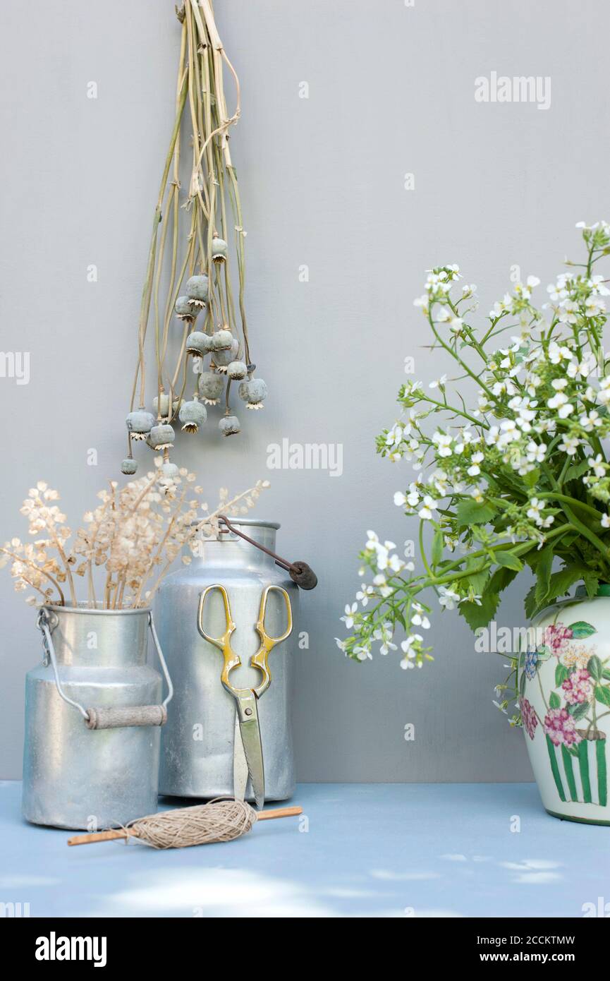 Boccioli di papavero secchi, barattoli di latte, corde, forbici e fiori in fiore Foto Stock