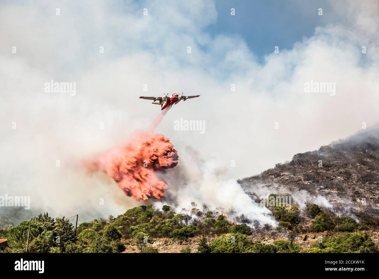 Aereo antincendio che rilascia il carico di ritardante di fiamma sul fuoco selvatico, Corsica, Francia Foto Stock