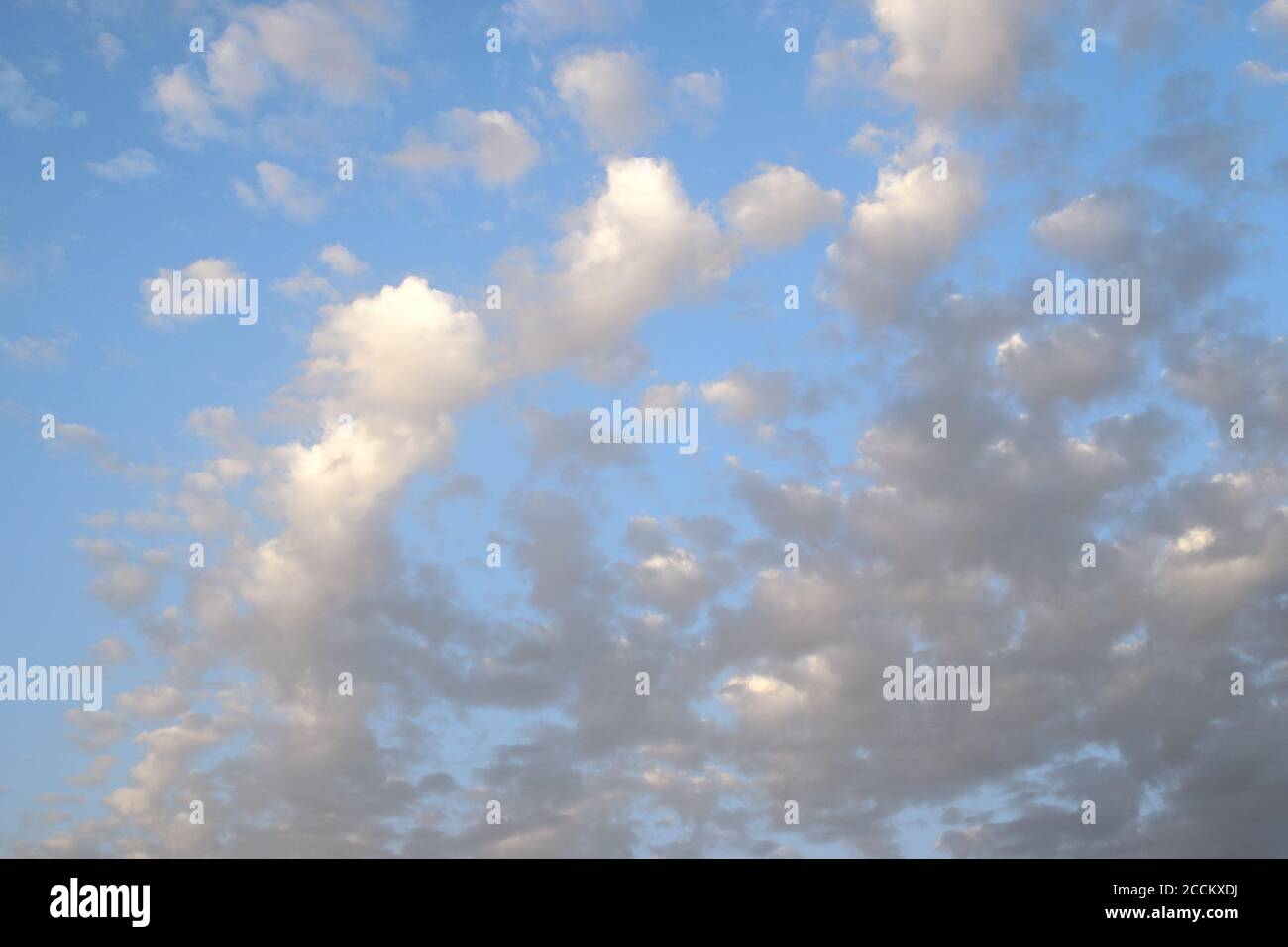 scena di alta qualità con nuvole grigie sparse durante il tramonto Foto Stock