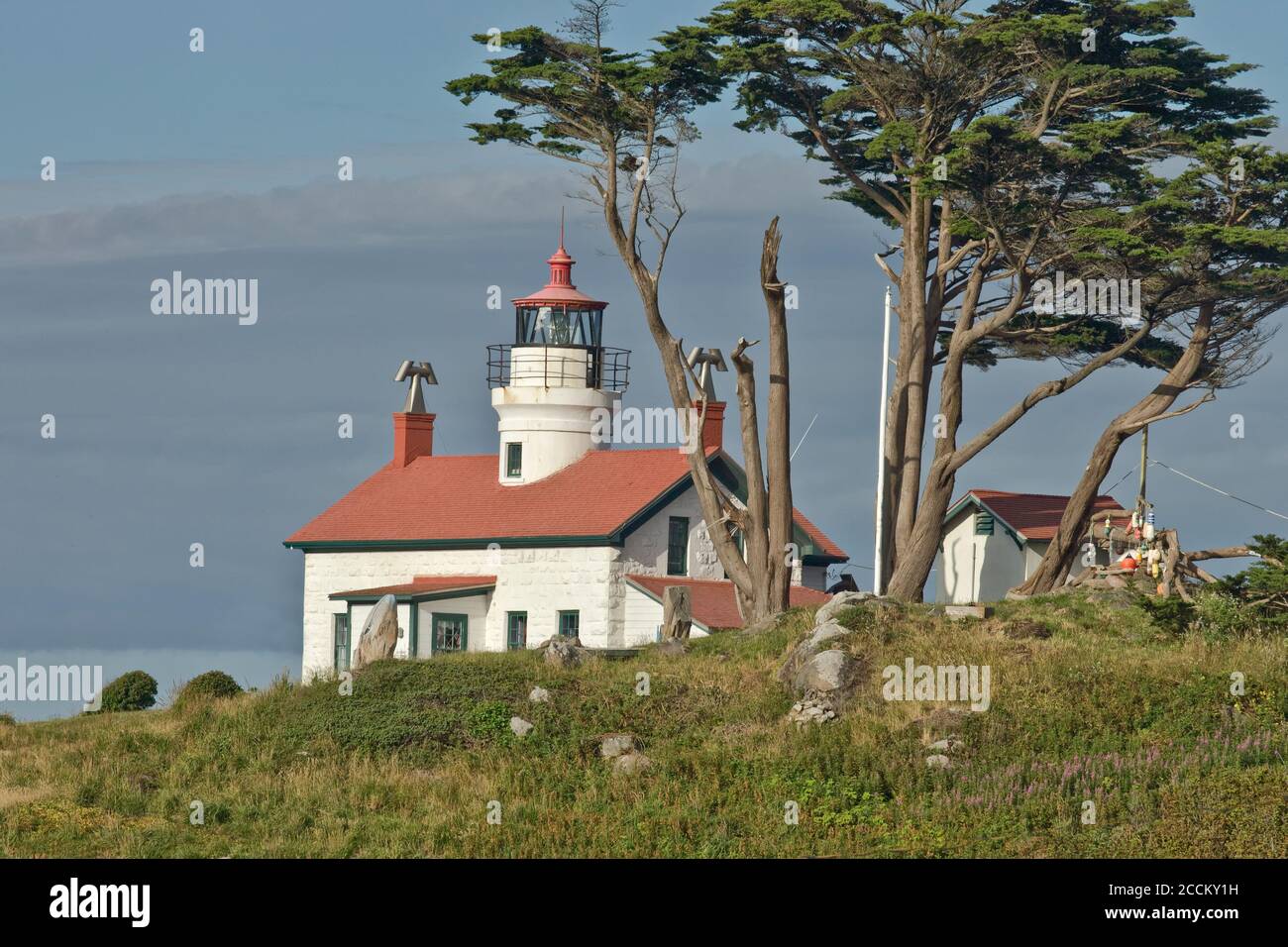 Battery Point Lighthouse al mattino presto, con un 'Fresnel Lens' risalente al 1856, Sitka Spruce, California. Foto Stock