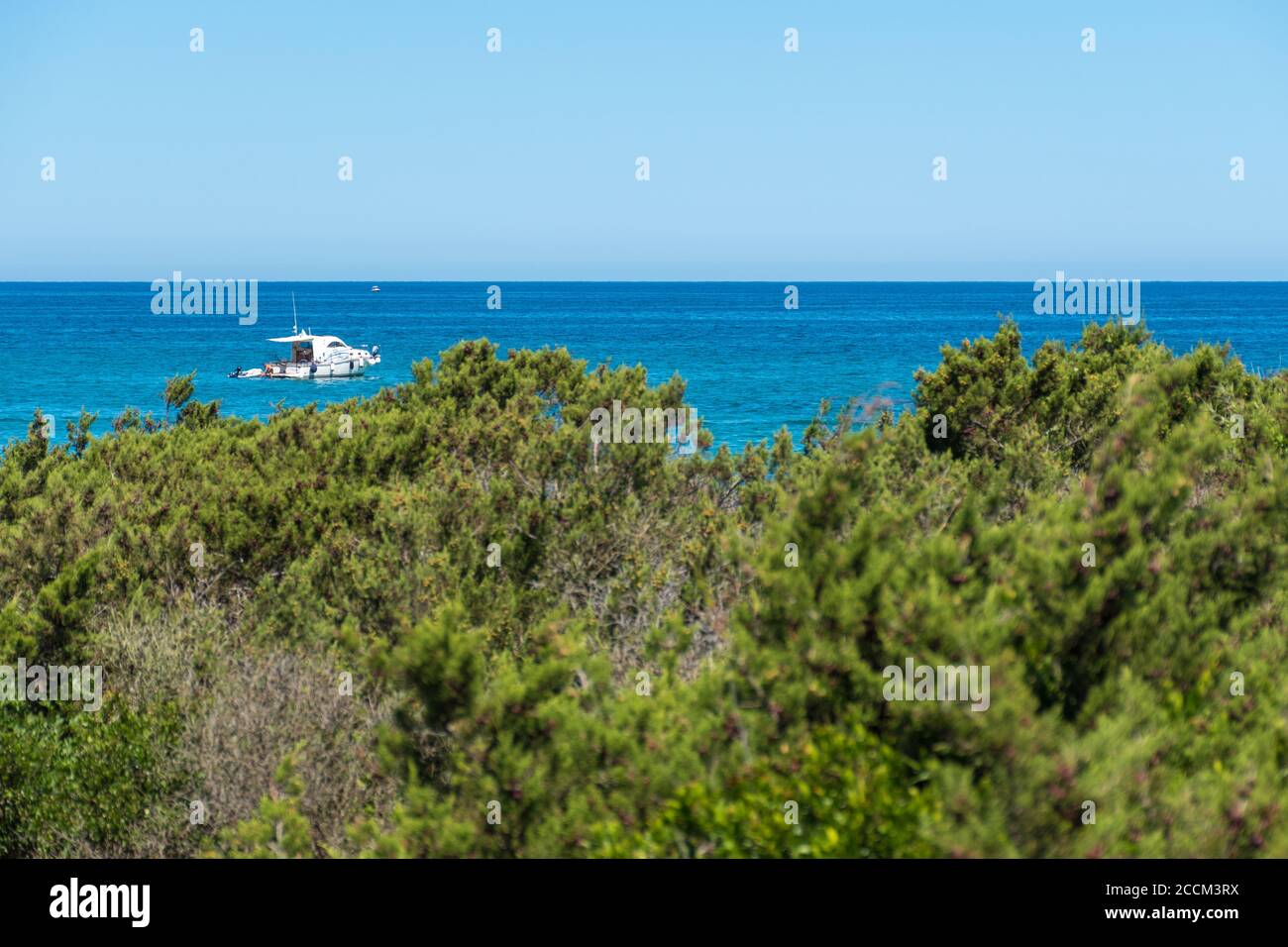 Alberi di ginepro e arbusti con mare blu mediterraneo e barche sullo sfondo Foto Stock