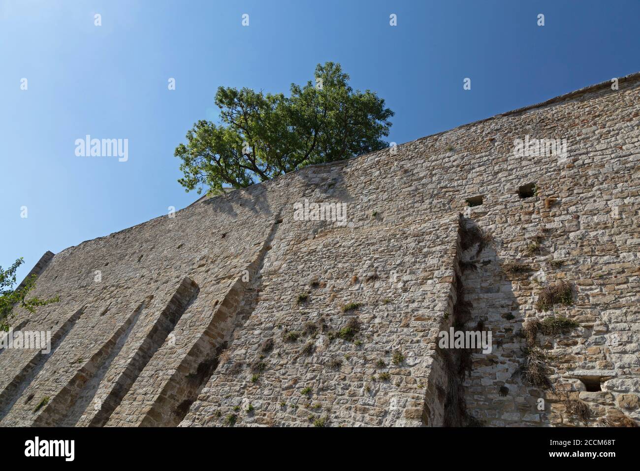 Mura cittadine, Motovun, Istria, Croazia Foto Stock
