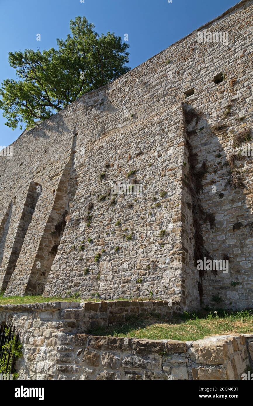 Mura cittadine, Motovun, Istria, Croazia Foto Stock