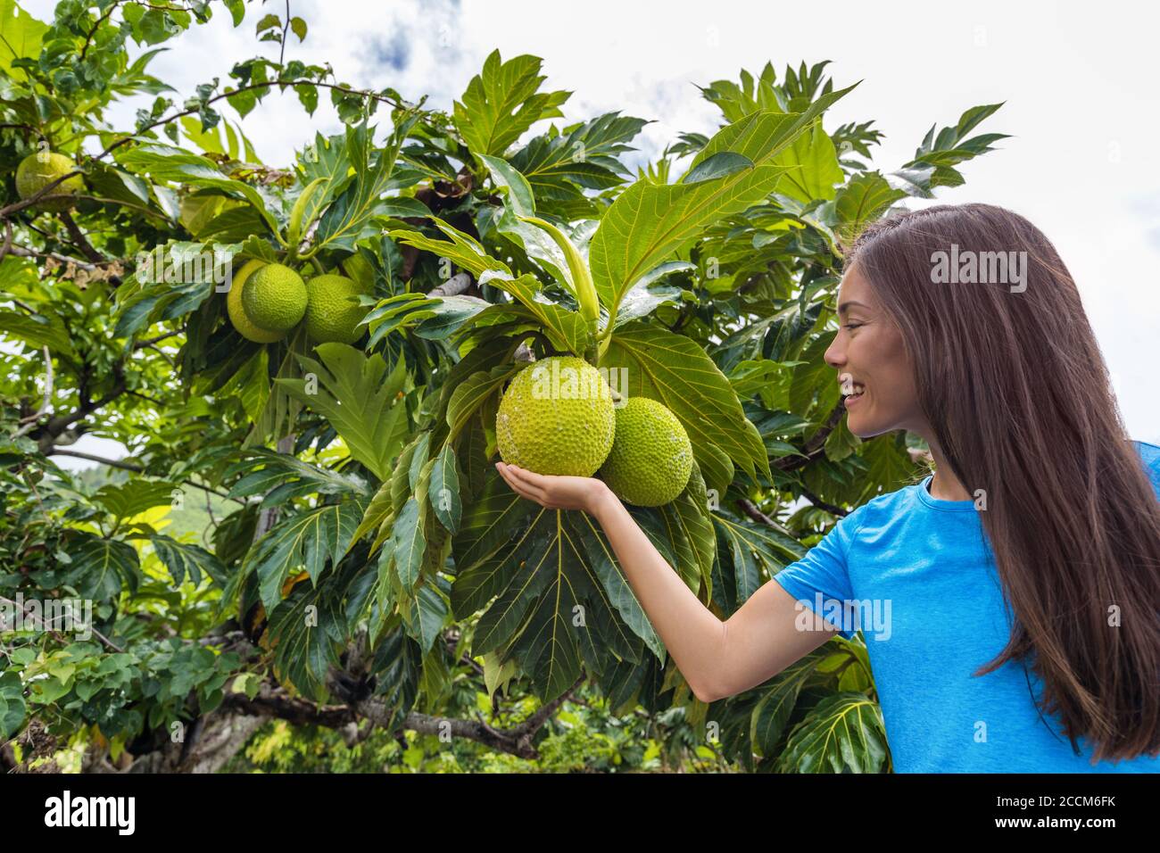 Polinesia francese ragazza turistica con frutto del pane Foto Stock
