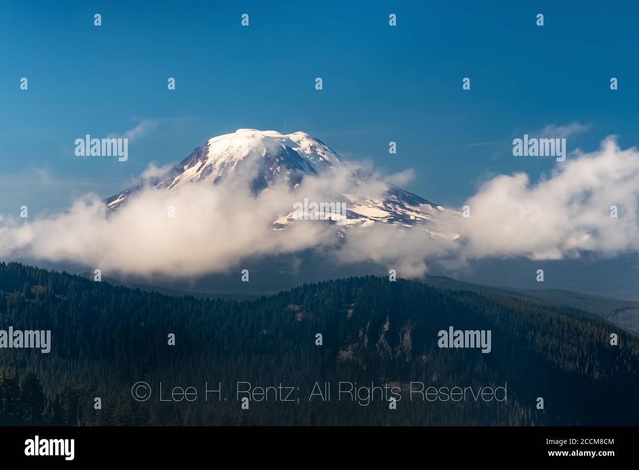 Mount Adams e le nuvole del mattino viste dal sentiero Snowgrass Trail nella Goat Rocks Wilderness, Gifford Pinchot National Forest, Washington state, USA Foto Stock