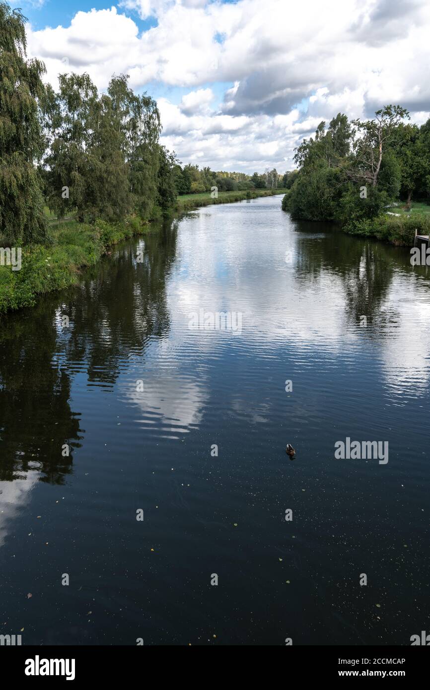 Corso d'acqua vicino a Krötenweg, Steinhuder Meer, Germania Foto Stock