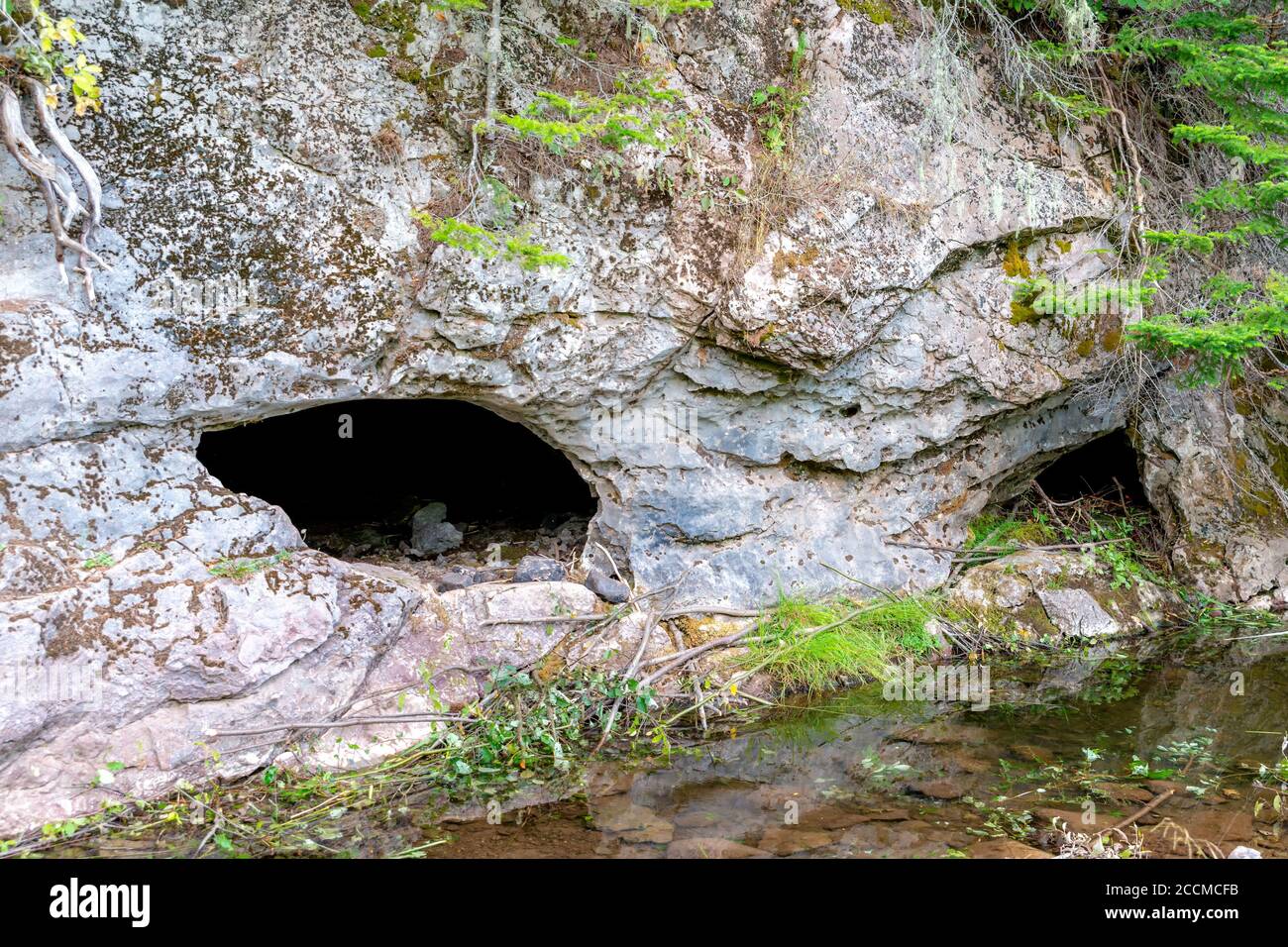 L'ingresso ad una grotta sul lato di una scogliera. Di fronte all'apertura è presente una piscina d'acqua. La scogliera è fatta di pietra calcarea. Foto Stock
