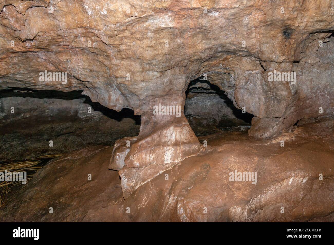 L'interno di una grotta calcarea. La roccia è coperta di fango. Buchi conducono al bart posteriore della caverna. Foto Stock