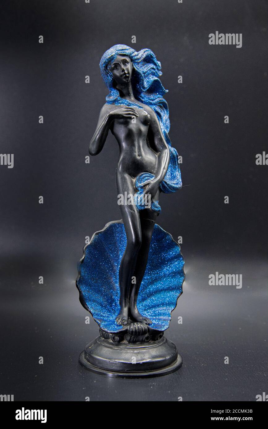 Ornamento di Venere, natura morta Foto Stock