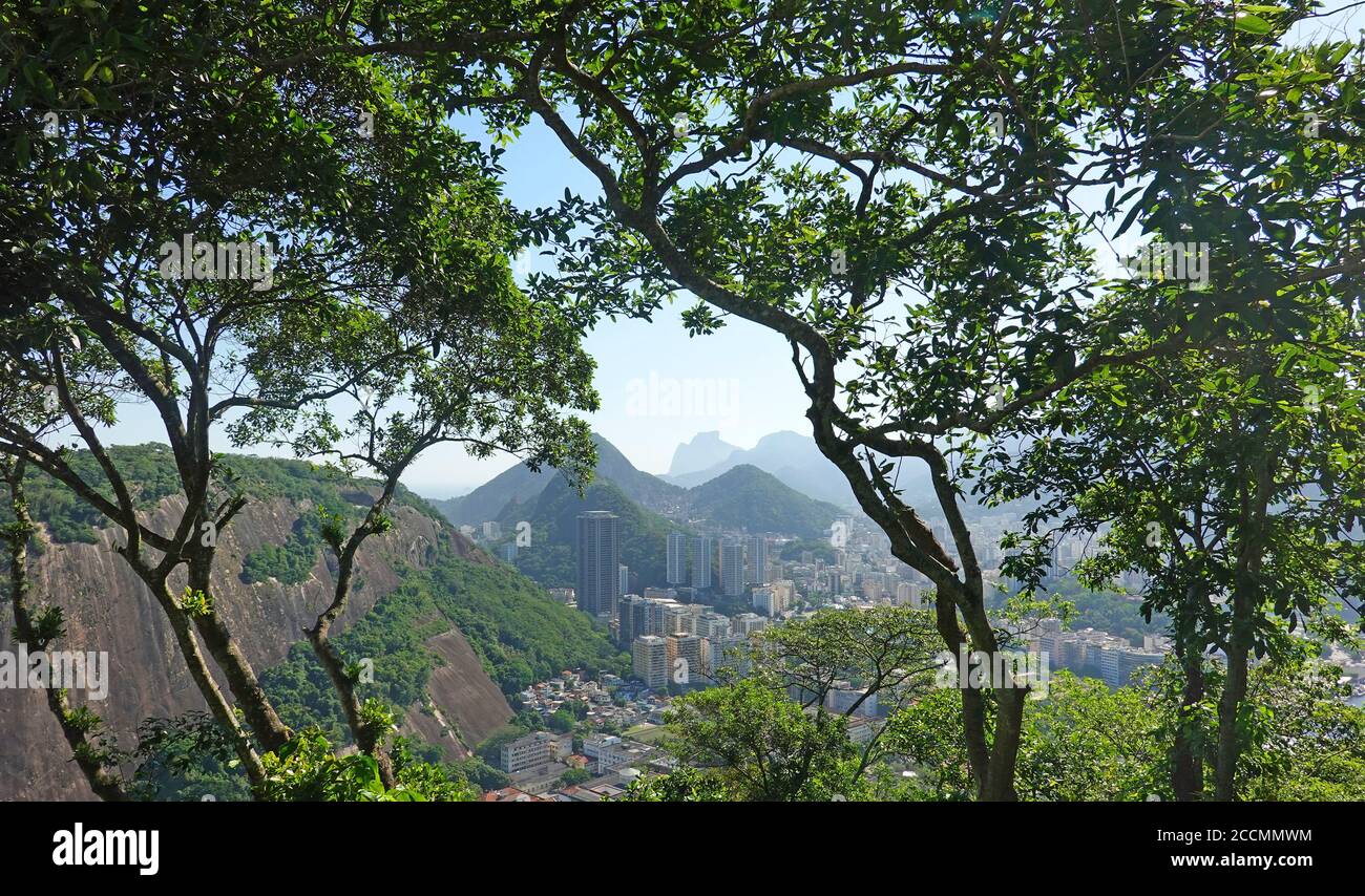 Vista su Rio De Janeiro incorniciata da alti alberi presi dalla cima del Pan di zucchero, Brasile Foto Stock