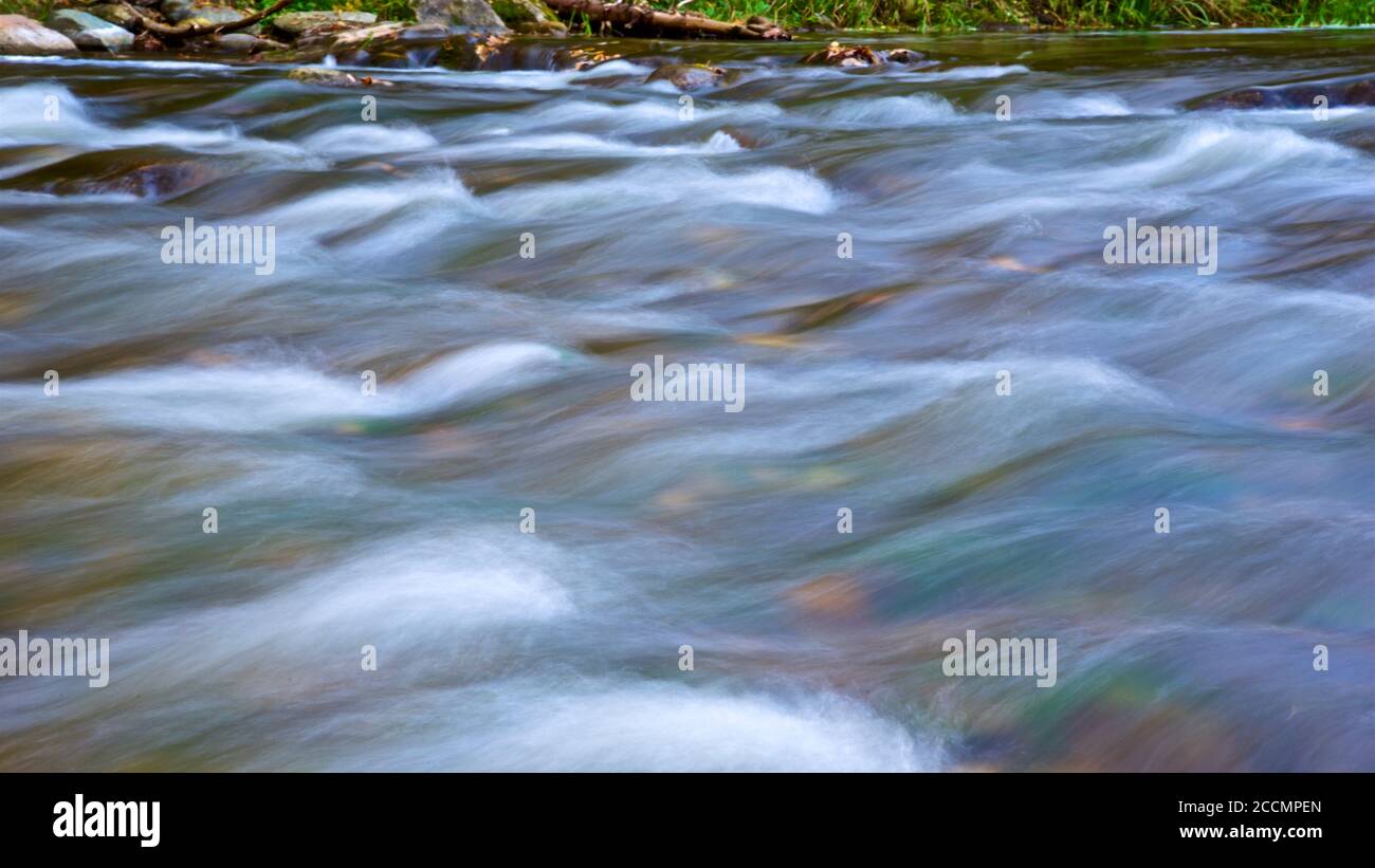 Colore delle foglie autunnali con ruscello e acqua corrente Foto Stock