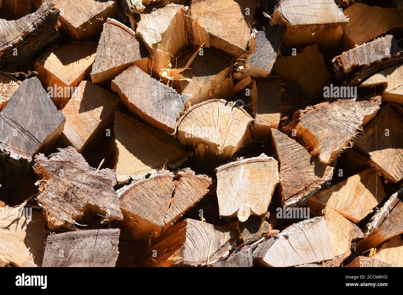 Tagliare il palo di legno di legna da ardere Foto Stock