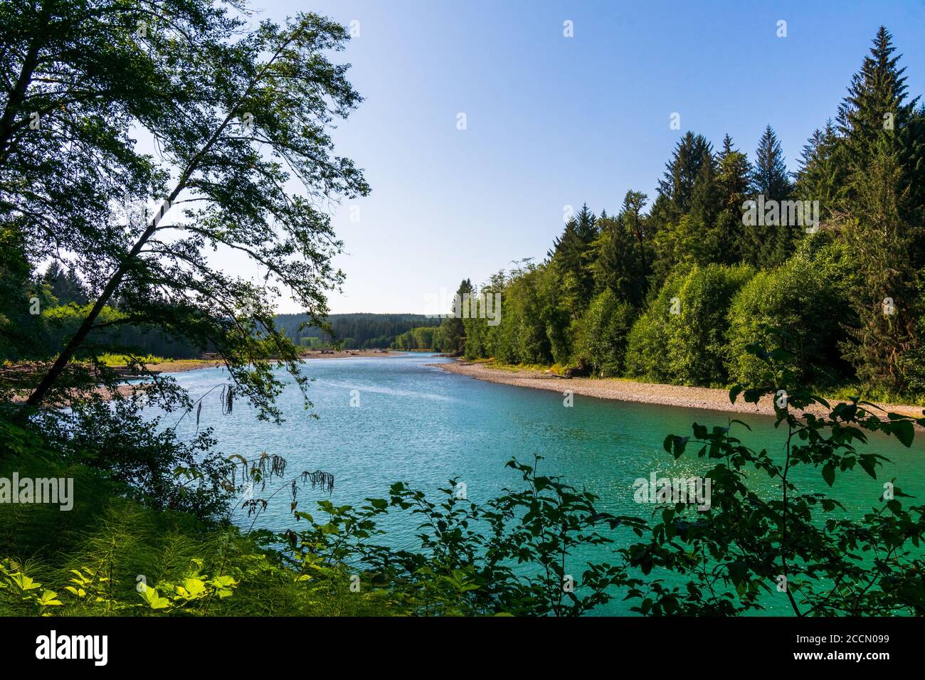 Queets River attraverso Lower Queets Valley nel Parco Nazionale Olimpico Foto Stock