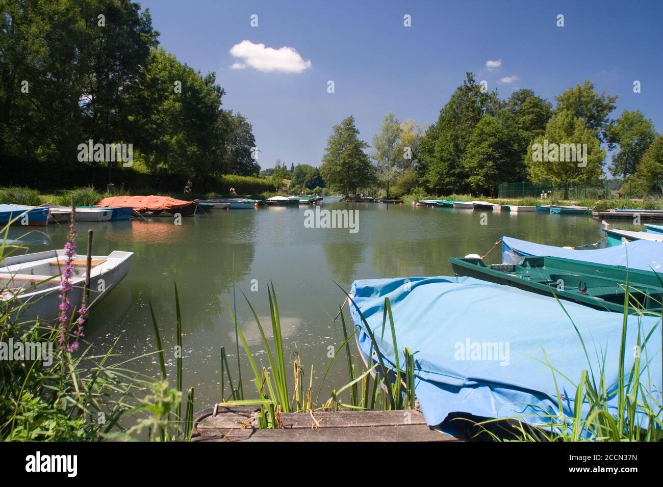 Il Lago di Aiguebelette Foto Stock