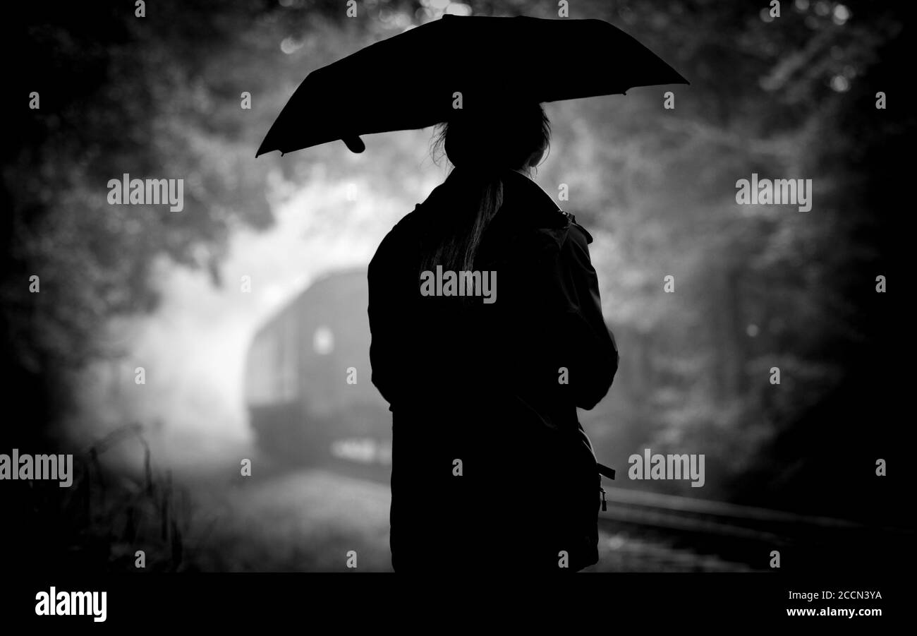 Bella Signora Con Il Cappello E L'ombrello Fotografia Stock - Immagine di  nebbia, nebbioso: 25508396