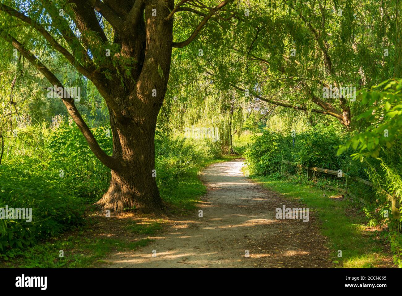 Paesaggi naturali del Frontier Park a Erie, Pennsylvania Foto Stock