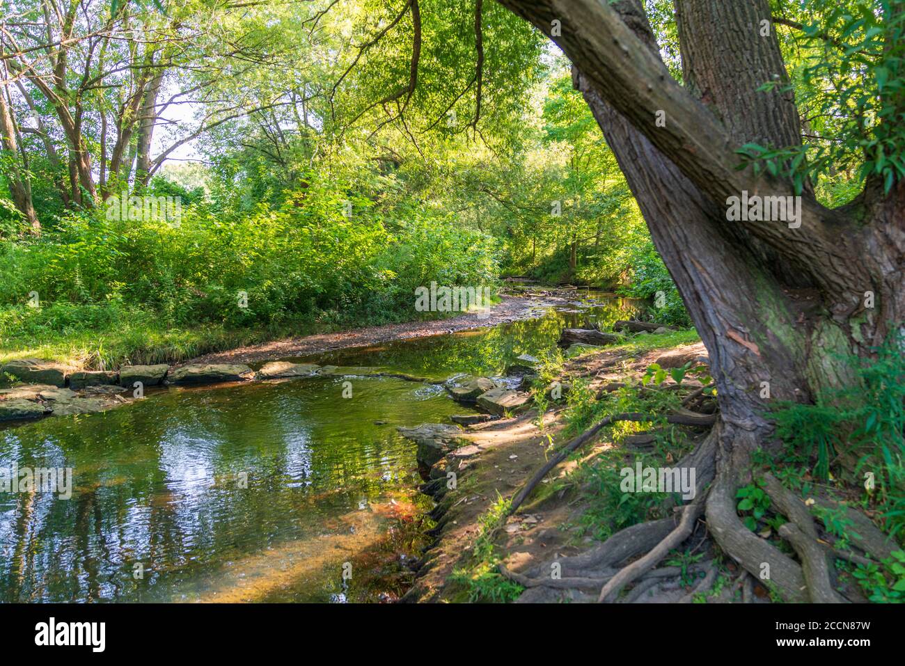 Paesaggi naturali del Frontier Park a Erie, Pennsylvania Foto Stock