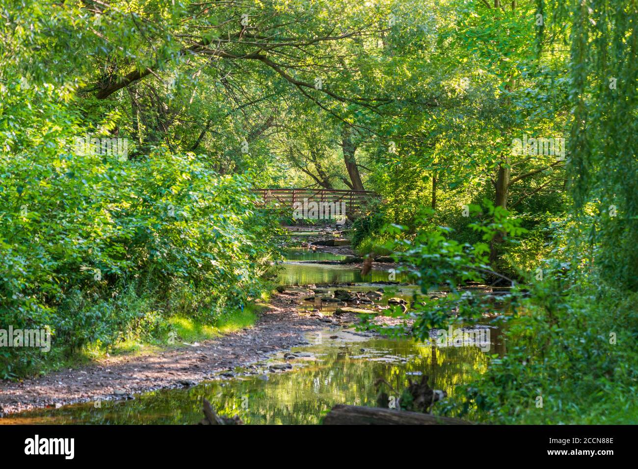 Paesaggi naturali del Frontier Park a Erie, Pennsylvania Foto Stock