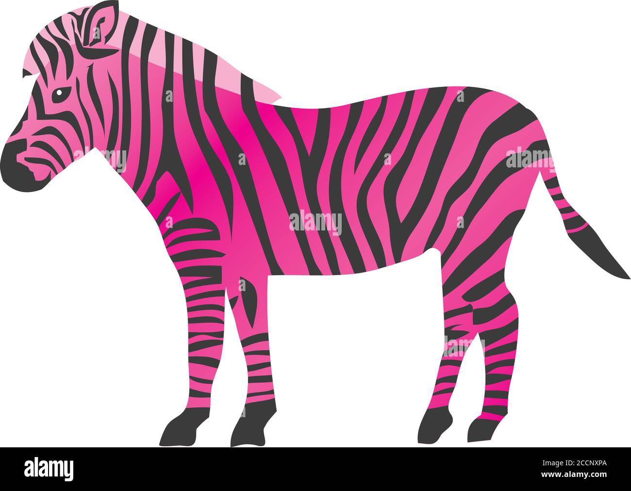 illustrazione vettoriale di una zebra rosa. sfondo di un cartone animato di animali selvatici. Illustrazione Vettoriale