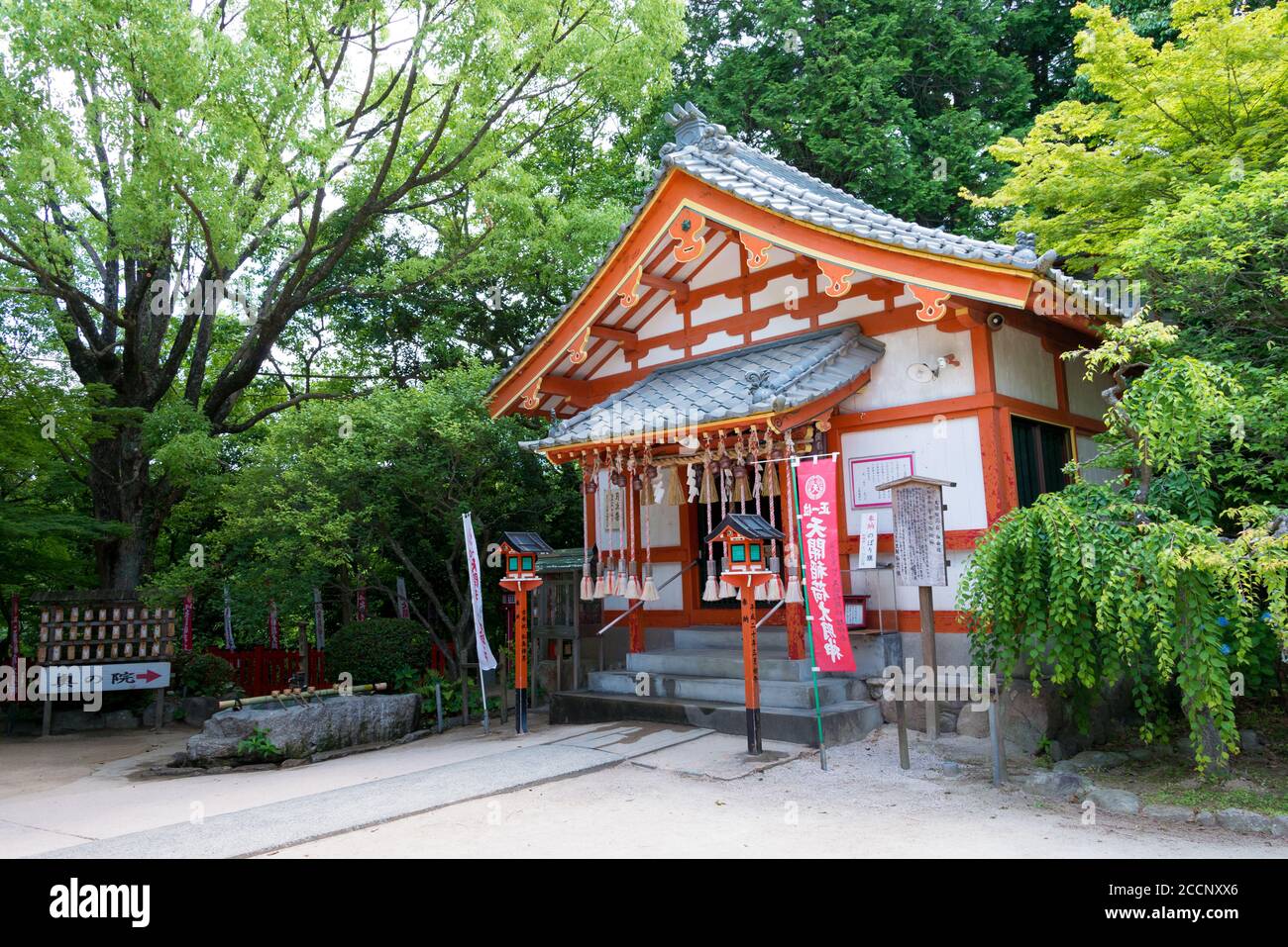 Fukoka, Giappone - Santuario di Dazaifu Tenmangu a Dazaifu, Fukuoka, Giappone. Il Santuario è stato originariamente costruito nel 919. Foto Stock