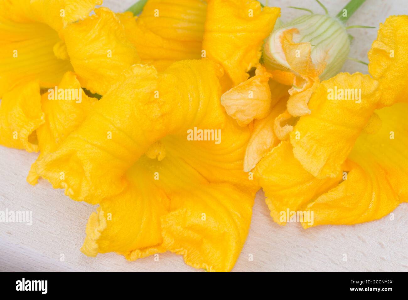 gruppo di fiori di zucca fuoco selettivo su tavola di cuttung Foto Stock