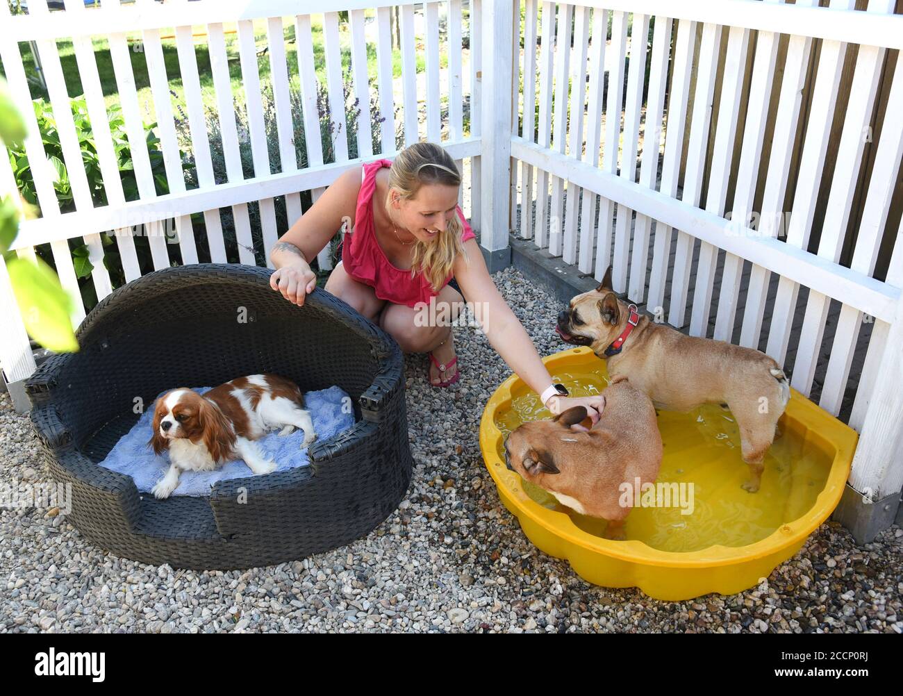 20 agosto 2020, Sassonia, Parthenstein: Nadine Queitsch gioca con i cani nel giardino della sua pensione 'Wunderhund'. L'amante degli animali e commerciante addestrato all'ingrosso e all'estero si occupa di fino a cinque cani di razze diverse nello stesso periodo di tempo, quando l'amante e il padrone dei suoi ospiti sono in vacanza o in affari. Mentre gli amici a quattro zampe, che vengono curati nel canile per una o quattro settimane, utilizzano il giardino e diverse piscine durante il giorno, possono scegliere il proprio letto nel bungalow come sistemazione speciale per la notte. Foto: Waltraud Grupitzsch/ZB/dpa Foto Stock