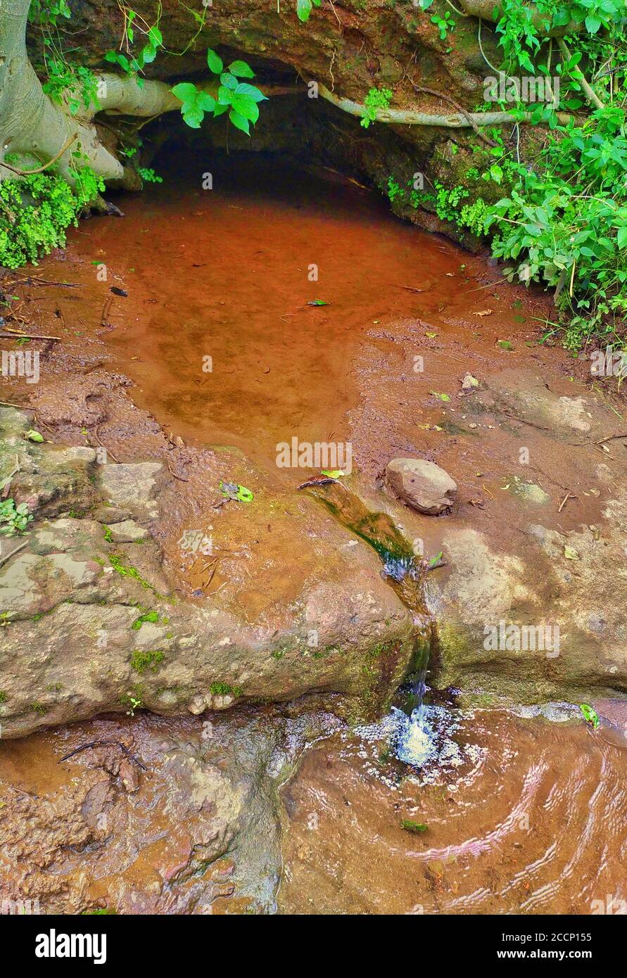 Natura filtrata piangendo fresca cascata. In India, l'acqua pura e pura fluente sotterranea è usata per bere. Foto Stock
