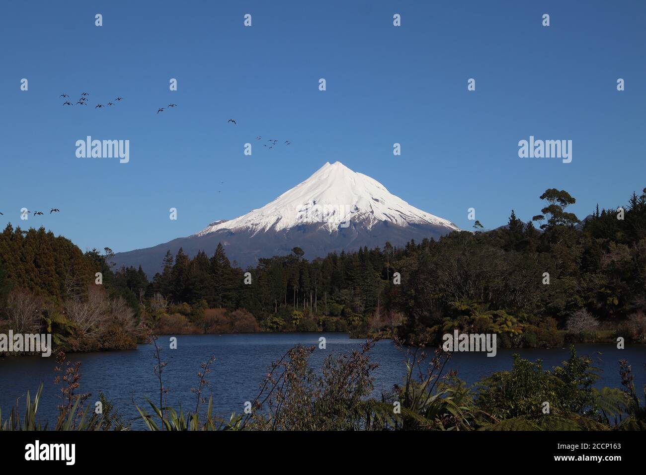 Monte Taranaki Nuova Zelanda con uccelli neve e alberi di lago e cielo blu Foto Stock