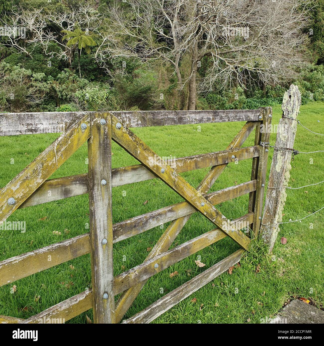 rustico cancello di recinzione in legno fattoria con muschio e paddock erba Foto Stock