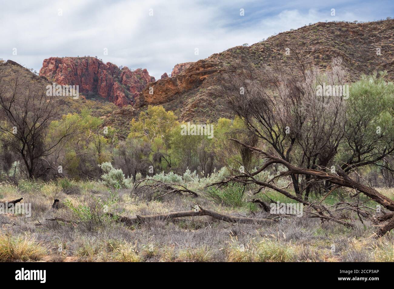 Paesaggio a Macdonnell Ranges, vicino a Corroboree Rock. Pareti rocciose arancioni e rosse, vegetazione secca. Contrasto colorato. Macdonnel Ranges, Australia Foto Stock