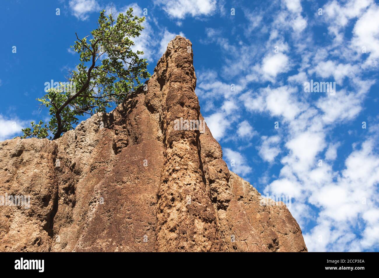 Tumulo di termite magnetico, casa per insetti termiti. Albero in cima al tumulo, nuvole sullo sfondo. Spazio di modifica. Litchfield, Australia Foto Stock