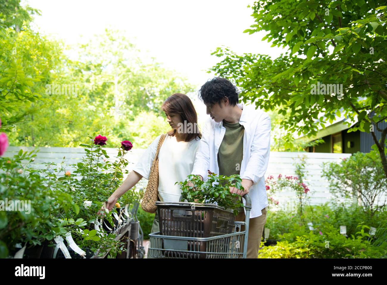 Coppia matura Shopping nel Garden Shop Foto Stock