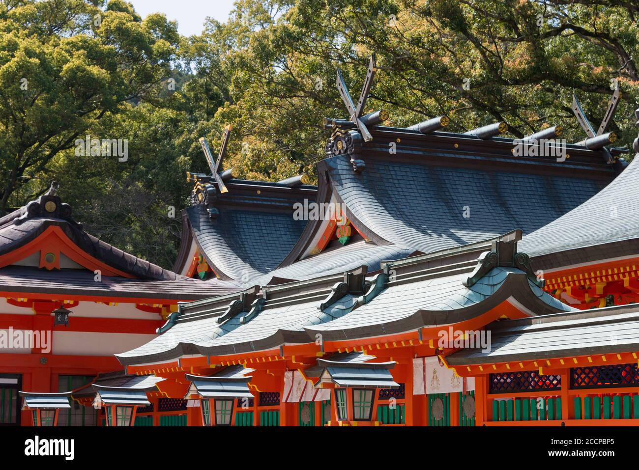 Wakayama, Giappone - Santuario di Kumano Hayatama Taisha a Shingu, Wakayama, Giappone. Fa parte del patrimonio dell'umanità dell'UNESCO. Foto Stock