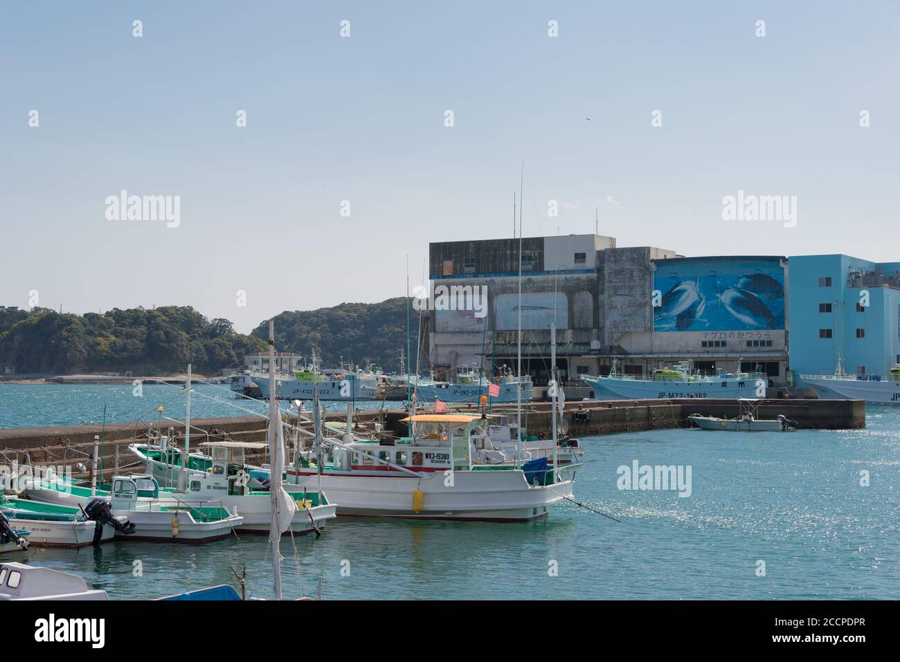 Wakayama, Giappone - Porto di pesca di Katsuura a Nachikatsuura, Wakayama, Giappone. Il porto di pesca di Katsuura è la base di pesca del tonno più importante del Giappone. Foto Stock