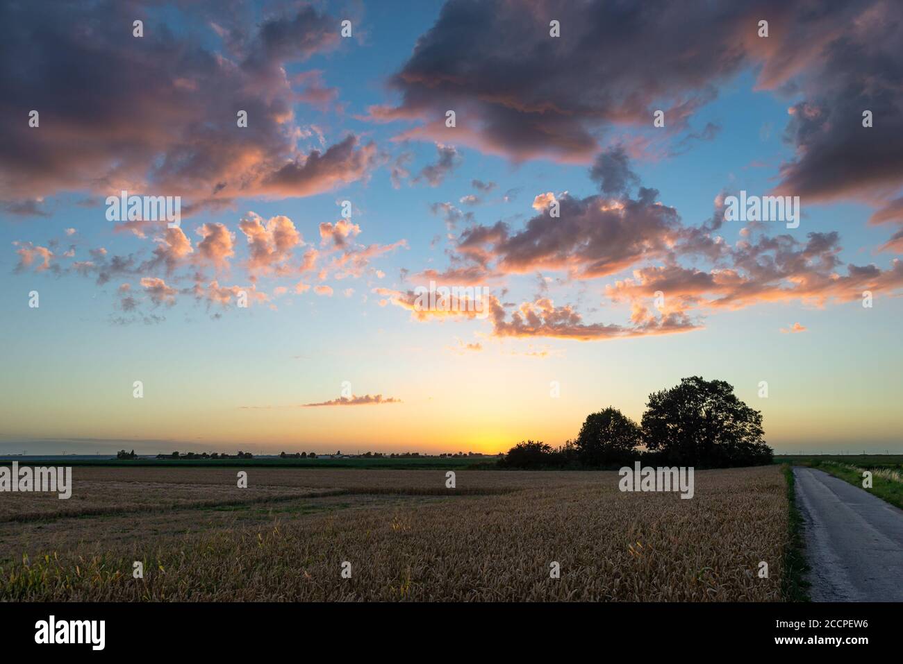Scena serale estiva con nuvole viola e cielo blu sopra campo agricolo Foto Stock