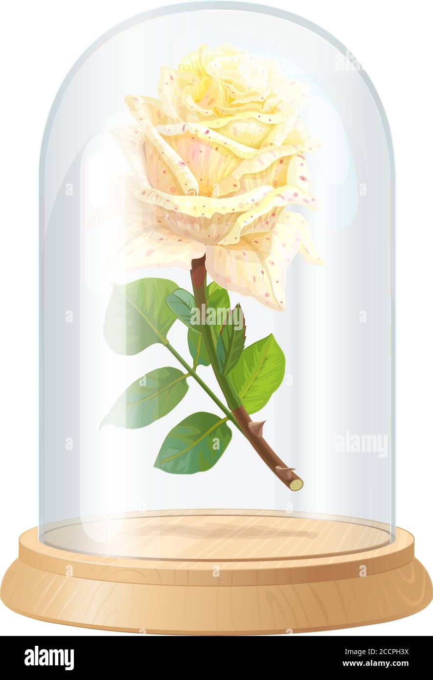 Pittura Ad Olio Con Numeri ABEUTY – Rosa In Cupola La Bella E La Bestia | 40x50 Cm Tela Per Adulti E Bambini | Kit Fai Da Te Antistress