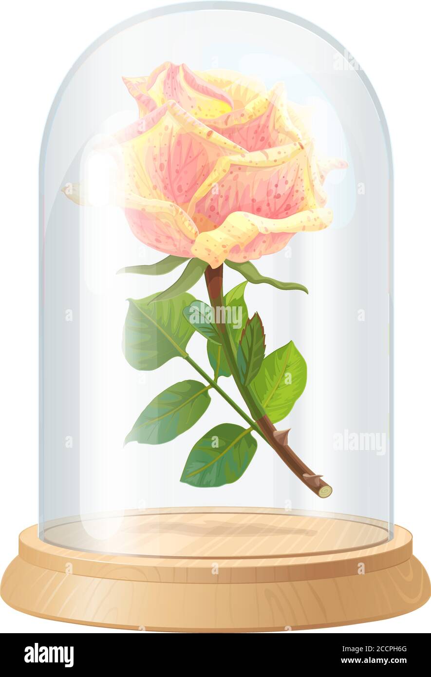 Pittura A Numeri Fai Da Te – La Rosa Incantata Di Beauty And The Beast, 40x50 Cm - 2
